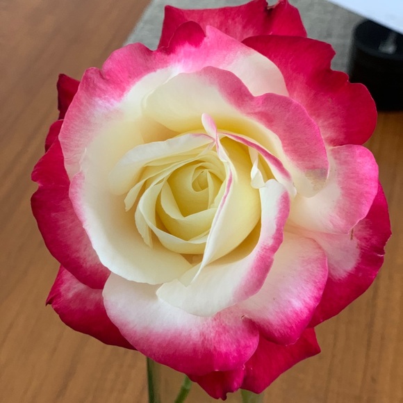 Meet your Posher, Jacqueline - Picture 1 of 1